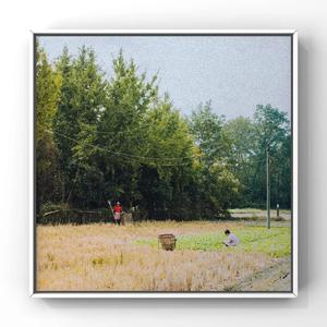 农村女人日起舒服
